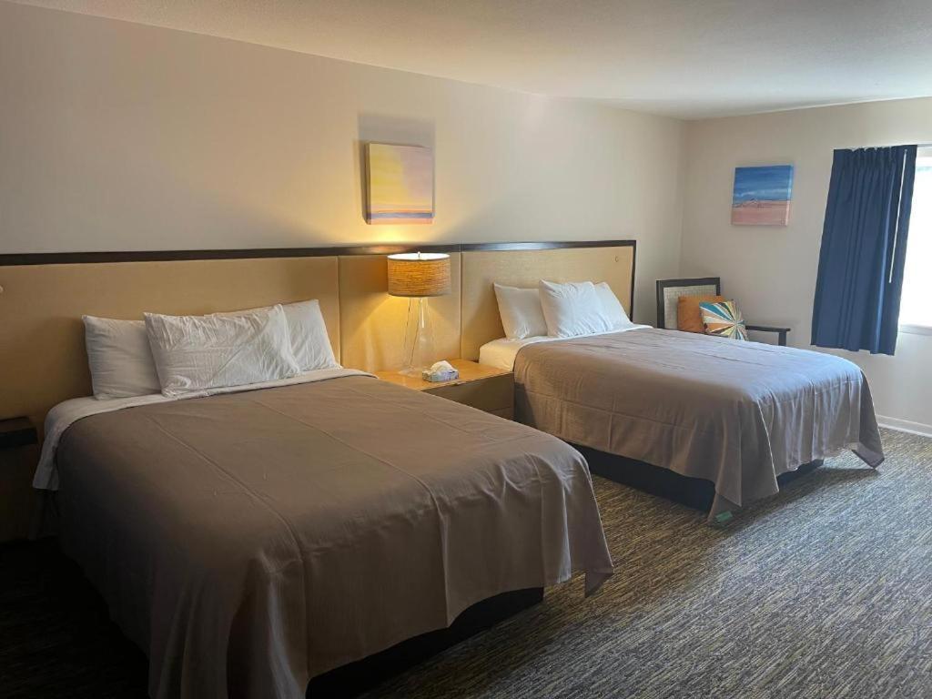 Camp Inn Lodge Au Sable 外观 照片